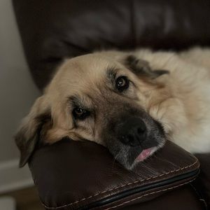 Meet your Posher, Ben